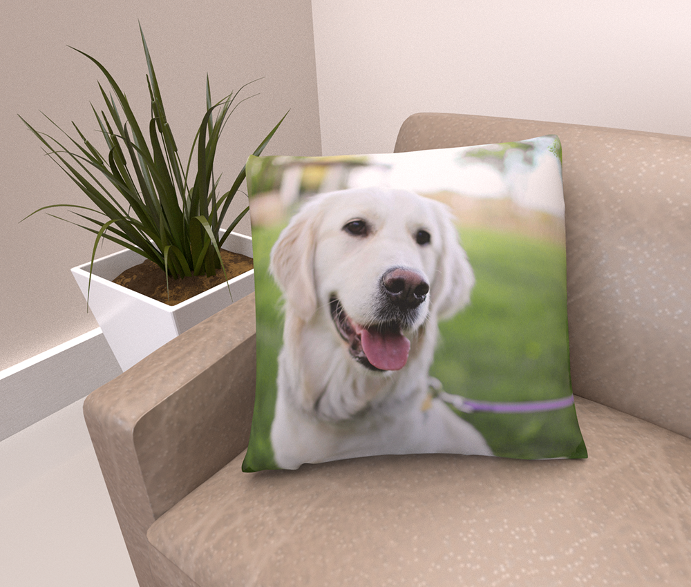 Cushion